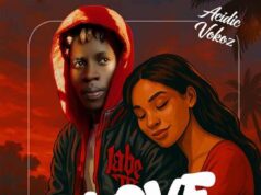 Acidic Vokoz – I Love You Acidic Vokoz - I Love You