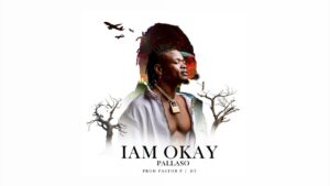 Pallaso - I Am Okay