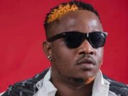 Chester More Power – Palya Chester More Power - Palya