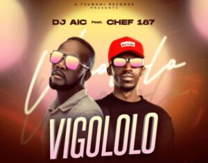 DJ Aic Ft Chef 187 - Vigololo