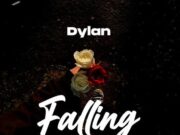 Dylan – Falling Dylan - Falling