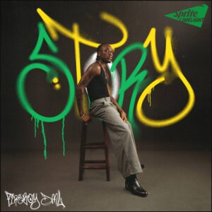 Fireboy DML - Story