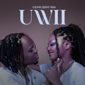 Geniusjini X66 - Uwii
