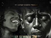 Yoke Seminal ZM Ft Flex ZM – Ichikonko Yoke Seminal ZM Ft Flex ZM - Ichikonko