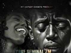 Yoke Seminal ZM Ft Flex ZM – Ichikonko Yoke Seminal ZM Ft Flex ZM - Ichikonko