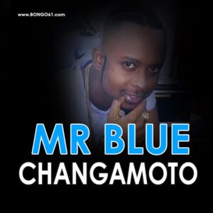 Mr Blue - Changamoto