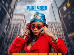 Puri4000 – Toteni Puri4000 - Toteni