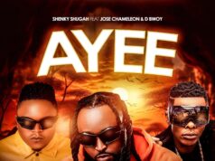 Shenky Ft Jose Chameleon & D Bwoy – Ayee Shenky Ft Jose Chameleon & D Bwoy - Ayee