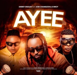 Shenky Ft Jose Chameleon & D Bwoy - Ayee