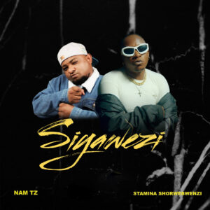 Nam Tz Ft Stamina Shorwebwenzi - Siyawezi