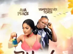 Temperature Touch Ft Ava Peace – Wanula Remix Temperature Touch Ft Ava Peace - Wanula Remix