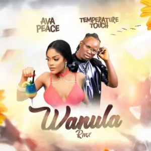 Temperature Touch Ft Ava Peace - Wanula Remix