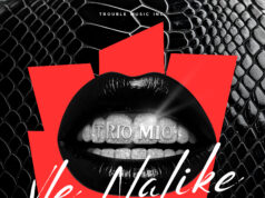 Trio Mio – Vle Nalike Trio Mio - Vle Nalike