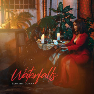 Tanasha Donna - Waterfalls