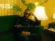 Vii Sugar Boy – Born For You