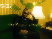 Vii Sugar Boy – Naugua Mapenzi