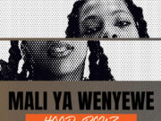 HOOD BOYZ – MALI YA WENYEWE HOOD BOYZ - MALI YA WENYEWE