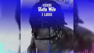 Shatta Wale - I Loud
