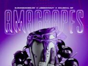 SjavasDaDeejay, LeeMcKrazy and XoliSoulMF – Amagrapes SjavasDaDeejay, LeeMcKrazy and XoliSoulMF - Amagrapes