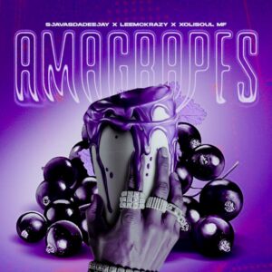 SjavasDaDeejay, LeeMcKrazy and XoliSoulMF - Amagrapes