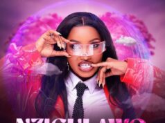 Spice Diana – Nzigulawo