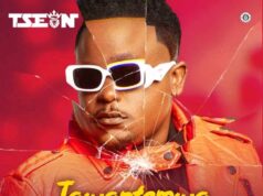 T-Sean – Tawantemwa Saana T-Sean - Tawantemwa Saana