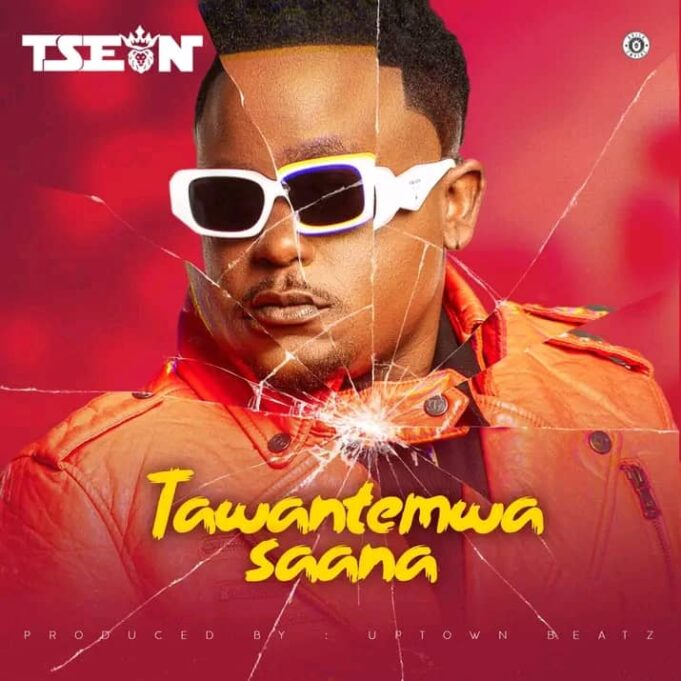 T-Sean - Tawantemwa Saana T-Sean - Tawantemwa Saana