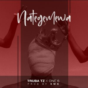 Truba Tz X One Six - NATEGEMEWA