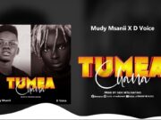 Mudy Msanii Ft D voice – TUMEACHANA Mudy Msanii Ft D voice - TUMEACHANA