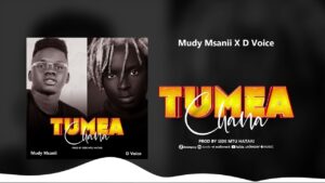 Mudy Msanii Ft D voice - TUMEACHANA