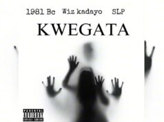 WIZ KADAYO – Kwegata WIZ KADAYO - Kwegata