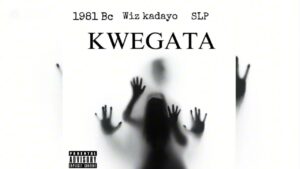 WIZ KADAYO - Kwegata