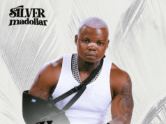 Silver Madollar Ft Harmonize – Unanisikia