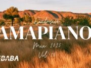 Exclusive Amapiano Mix 2025 Vol 13 By Dj Webaba