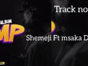 Chief Killer Ft Msaka Daily – Shemeji