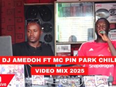 Madaraka Park Chill Mix 2025 by Dj Amedoh & Mc PIN