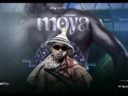 Ntate Stunna Ft Lowly & Dj Ngwazi – MOYA
