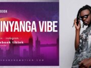 DJ FACEBOOK – SHINYANGA VIBE MEGA MIX NONSTOP