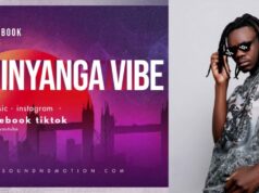 DJ FACEBOOK – SHINYANGA VIBE MEGA MIX NONSTOP