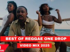 ONE DROP REGGAE SONGS MIX 2025 BY DJ VYGA UB40, ALAINE, CECILE, CHRIS MARTIN