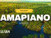 Exclusive Amapiano Mix 2025 Vol.12 By Dj Webaba