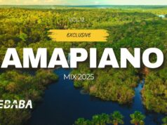 Exclusive Amapiano Mix 2025 Vol.12 By Dj Webaba