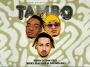 Dicky Flavor Ft Dee Melody & Dogo Elisha – Tambo Langu