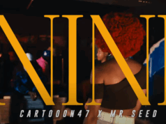 Cartoon 47 Ft Mr Seed – Nini