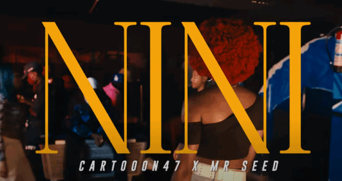 Cartoon 47 Ft Mr Seed - Nini