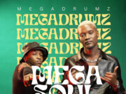 Megadrumz Ft Nhlanhla Dube,Avuyile & Zintle Kwaaiman – Far Away