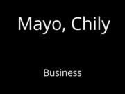 Mayo Ft Chily – Business