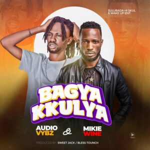 Audio Vybz Ft Mikie Wine - Bagya Kkulya