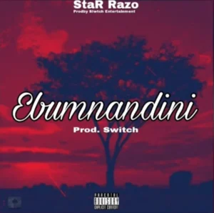 Dlala Thukzin, Ocar Mbo,Prod. Switch - Ebumnandini (StatRazo)