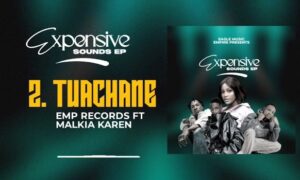 Emp records - TUACHANE Ft Malkia karen